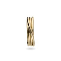 Ringe Rubinia Filodellavita Classic in Gelbgold AN8G_14 - AN8G_14